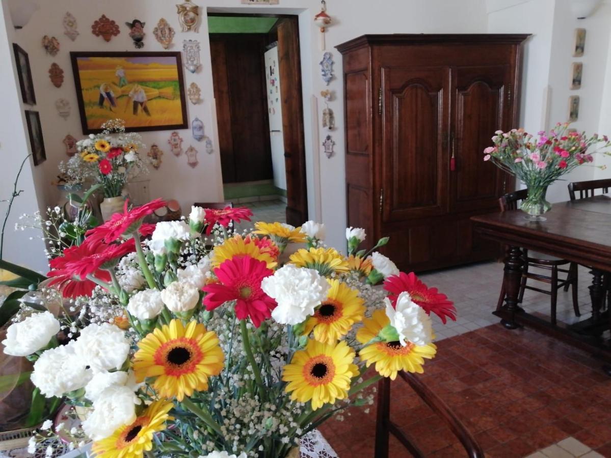 Anticadimora Dei Pepe Bed & Breakfast ซัลเว ภายนอก รูปภาพ