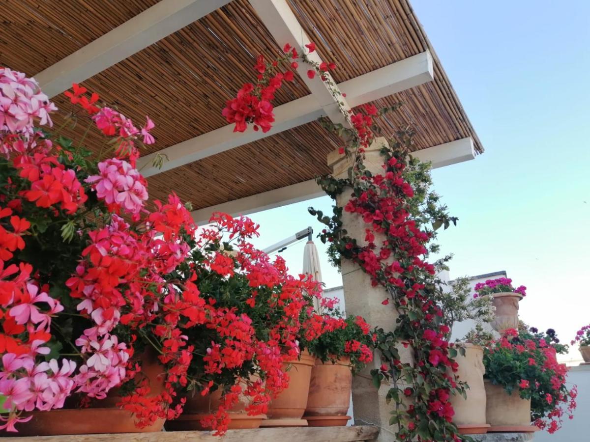 Anticadimora Dei Pepe Bed & Breakfast ซัลเว ภายนอก รูปภาพ