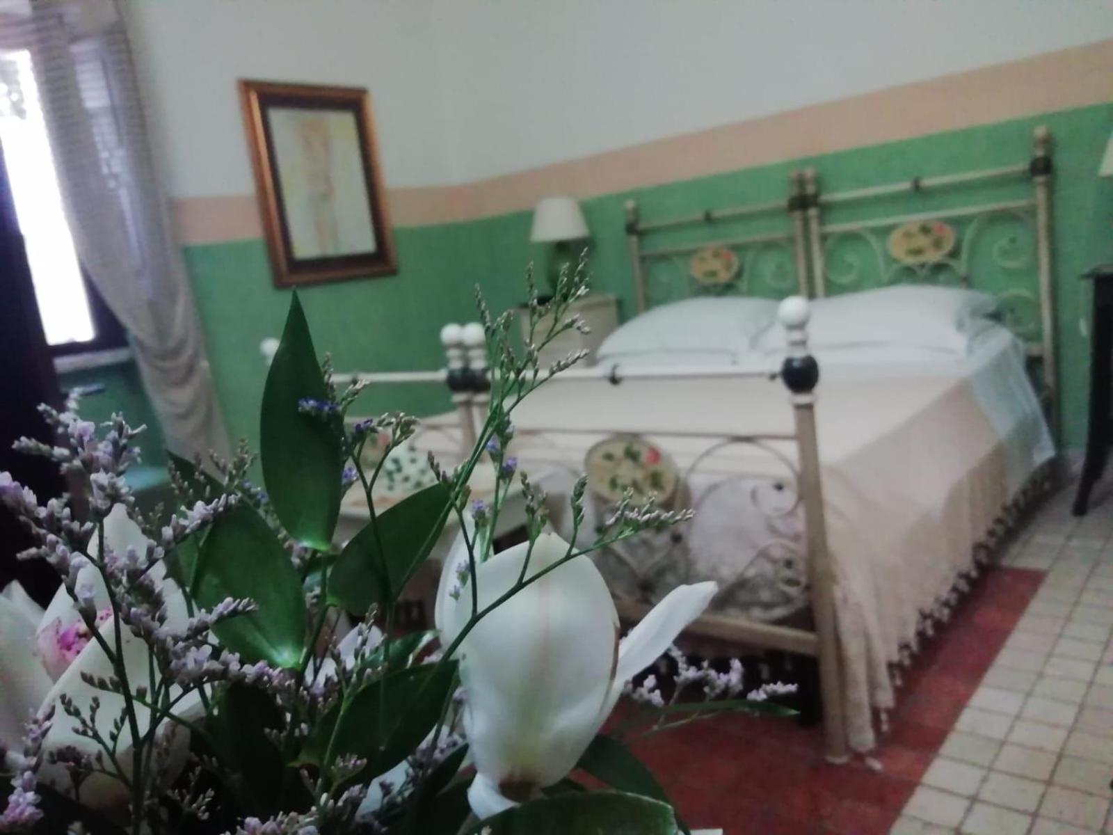 Anticadimora Dei Pepe Bed & Breakfast ซัลเว ภายนอก รูปภาพ